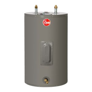 Termo eléctrico Rheem 76 Litros 220v